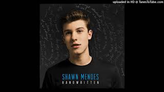 Video voorbeeld van "Shawn Mendes - Life Of The Party (Acoustic) [Audio]"