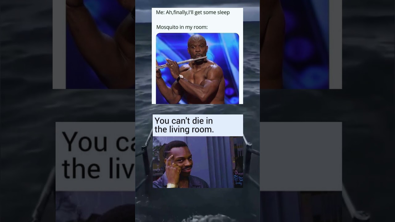 Internet shows MEMES |PART 2