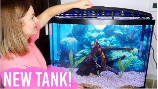 NEW Setting Up My Tropical Fish Tank