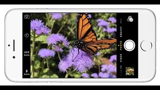 iPhone 6 Slow Motion Test - 240 FPS