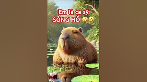 Phát khóc vì giọng ca oanh tạc của bé Capybara làm biếng 🐷