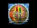 OFFICIAL STEMS - Skrillex - Make It Bun Dem ft. Damian Marley