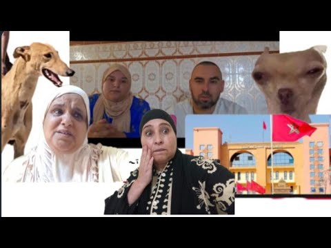 جلدة الكارمة تعطي الصنطيحة في المواقع وفي الواقع كتشدها سريسرا
