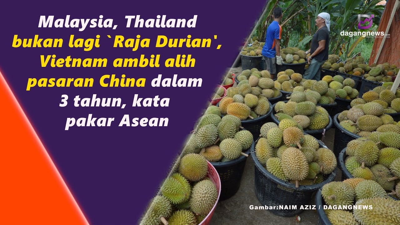 Malaysia, Thailand bukan lagi `Raja Durian', Vietnam ambil alih pasaran ...