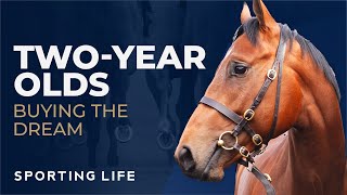 Two Year Olds: Buying The Dream - Richard Fahey by Sporting Life 6,759 views 3 weeks ago 12 minutes, 17 seconds