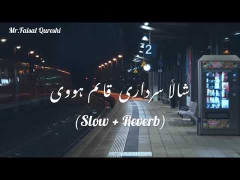 Musafir Shala Sardari Qaim Hove  Slowed ReverbSariki Songs  Faisal Qureshi