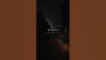 فَلَمَّا تَرَاءَى الْجَمْعَانِ قَالَ أَصْحَابُ مُوسَىٰ | محمد صديق المنشاوي | سورة الشعراء