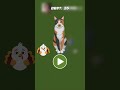 cat is eat rat Snapchat is available
