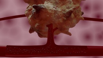 The faith of nanotherapeutics in the body