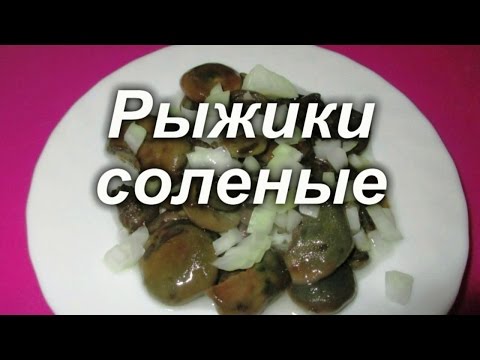 Рыжики/ Соленые рыжики./Грибы. Как хранить рыжики зимой. Просто вкусно!