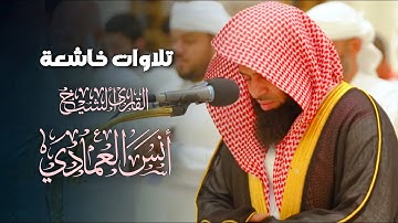 تلاوة بديعة من صلاة المغرب لما تيسر من سورة لقمان بصوت الشيخ أنس العمادي | 20-8-1446 هـ