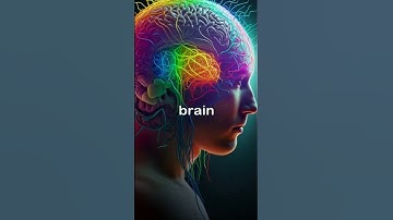 What If You Used 100% of Your Brain? | Unlock Human Potential