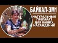 Байкал ЭМ 1 применение на огороде  Советы садоводам  и огородникам