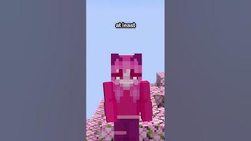 Java And Bedrock Edition Crossplay?!?