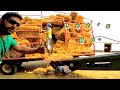 Unloading straw  wheat harvest finished