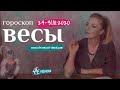 ВЕСЫ 24 - 31 октября 2020: гороскоп на неделю для ВЕСОВ от Анны Ефремовой