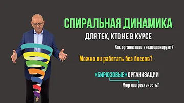 Спиральная динамика. Бирюзовые организации. Управление изменениями