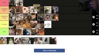 Tier list wednesday: FUNNY CATS Net Worth