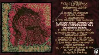 Cystic Embalmment - Bardassage Auditif MC/CD FULL ALBUM (2024 - Goregrind)