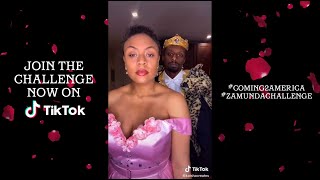 Смотреть клип Bobby Sessions & Megan Thee Stallion - I'M A King (Tiktok Compilation)