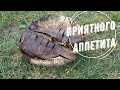 Рыба горячего копчения в миникоптильне из биксы. Проще некуда.