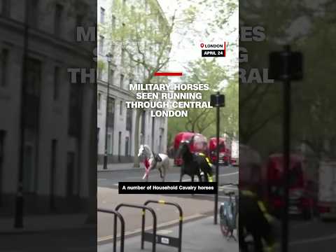 Military horses seen running through central London.