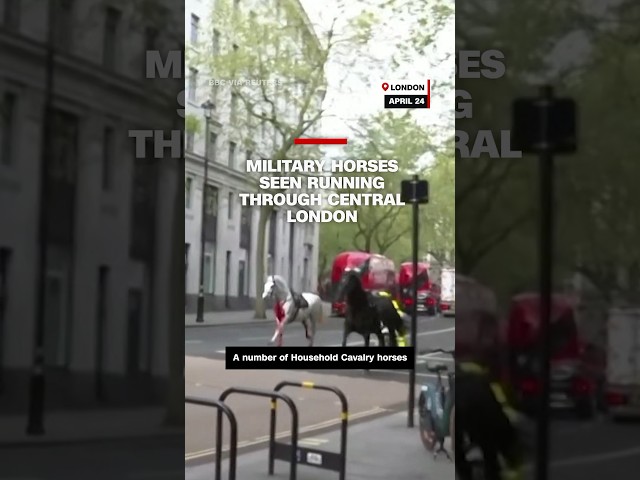 Military horses seen running through central London