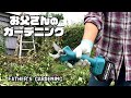 【ルンルンの裏庭】お父さんのガーデニング：電動剪定バサミの導入
