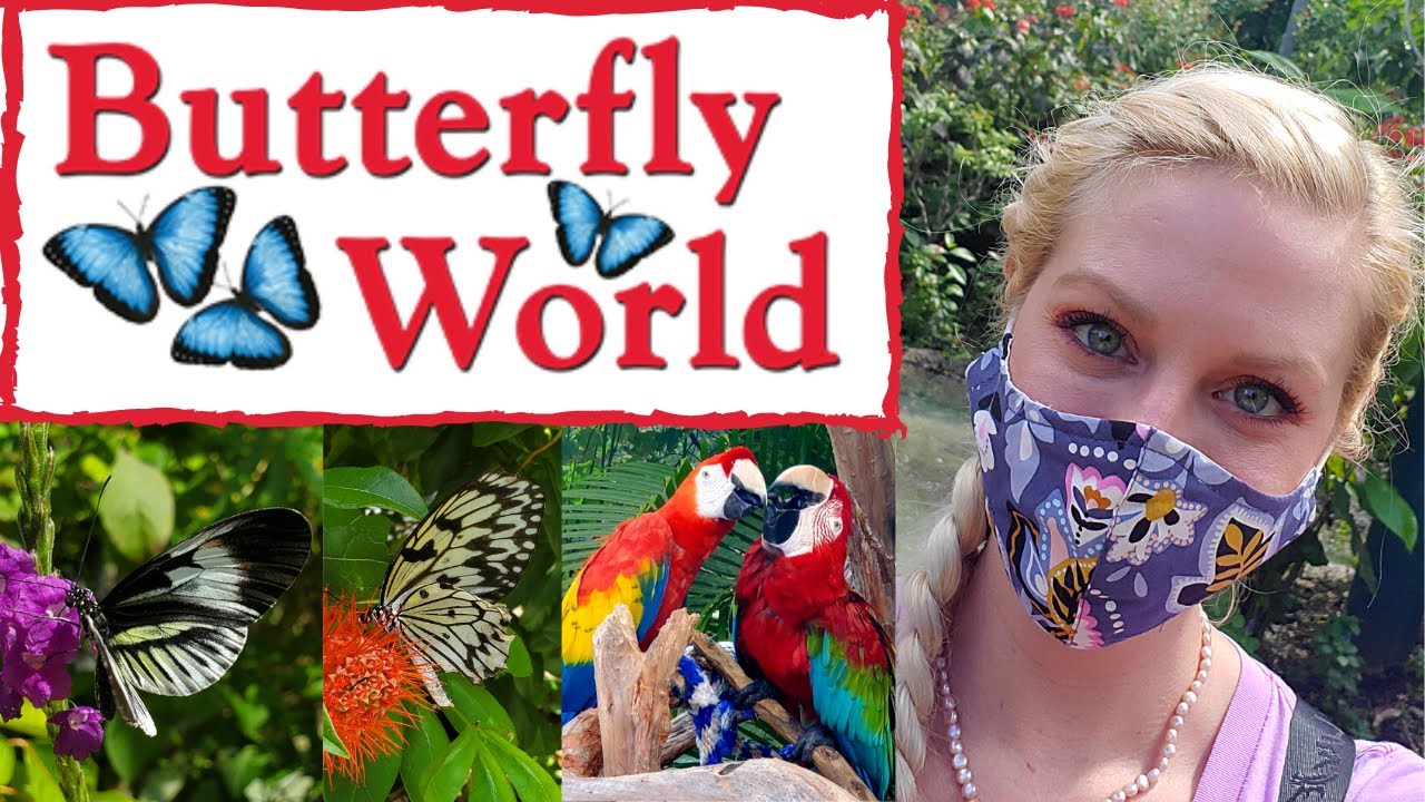 butterfly world ltd tours