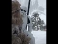 Chewy tiktok  snowbros