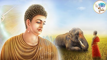 Lời Phật Dạy: Người càng tĩnh tâm thì trí tuệ càng cao và tầm nhìn càng xa - Tinh Tâm Thiền #Mới