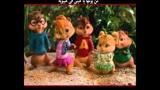 العنكبوت النونو