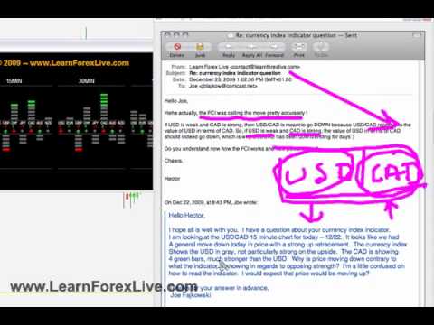 learn forex live