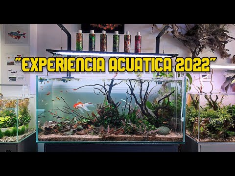 AQUA PLANT SYSTEM Y AQUAVID en Experiencia Acuatica 2022