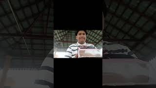 ENGINEERING SCIENCE ( MINI PROJECT )