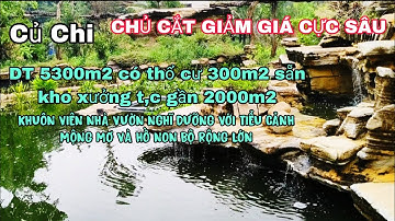 Nhà đất củ chi | giá rẻ | giới thiệu | Khuôn viên vườn 5300m2 sẵn 300m2 thổ cư có 2000m2 khó xưởng