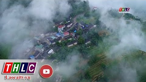 Đảng trong cuộc sống: Chuyên đề học và làm theo Bác (30/1/2023) | THLC