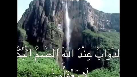 نبيل الصالح / مقتطفات من القرآن الكريم ...