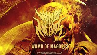 WOMB OF MAGGOTS &quot;Decay Of Humanity&quot; Lord Of The Sick Recordings