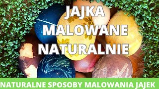 Naturalne metody malowania jajek. Jak zrobić kwiatki, listki, nie używając farb ani kleju? #święta