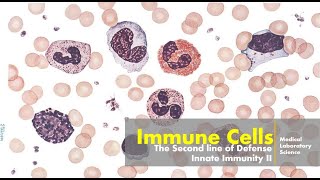 Innate Immunity II: Immune cells