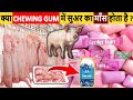 दिमाग को हिला देने वाले 20 Most Amazing Facts In Hindi \Random Facts \ RTS EP 297