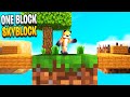 Minecraft Skyblock But You Only Get 1 Block (6)