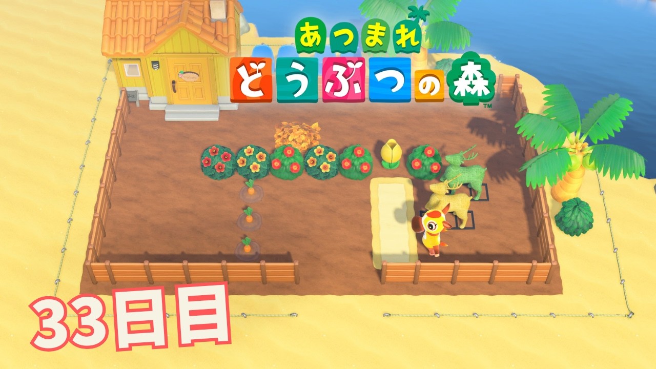 【あつまれ どうぶつの森】バラ売ってないかなぁ！！白いバラが欲しいなぁ！！　＃33日目