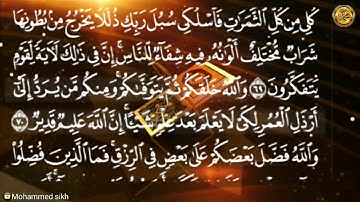 { سورة _ النحل _مكية }بصوت الشيخ عبد الباسط عبد الصمد  {صفحة ٢٧٤} من الأية(٦٥)إلى الأية(٧٢)