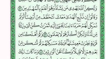 تكرار الوجه الثامن من سورة القصص كل آية ٣مرات للشيخ فارس