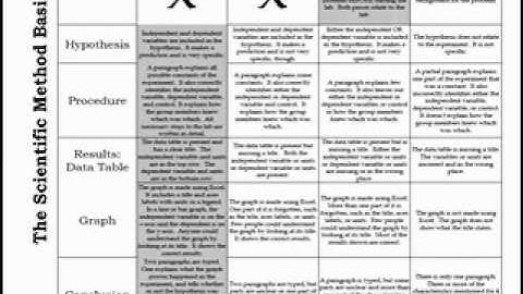 lab report rubric tips
