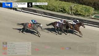 Vidéo de la course PMU MAIDEN SPECIAL WEIGHT