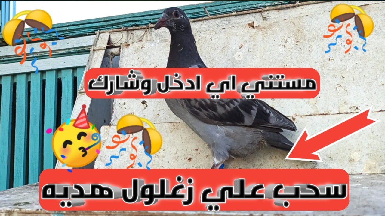 سحب علي زغلول هديه من البطل ايمن انور وربنا يبارك لصاحب النصيب🥰🎊