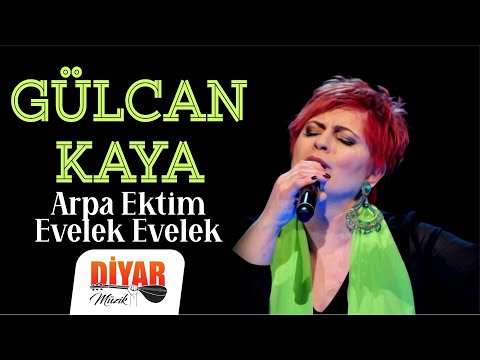 Gülcan Kaya - Arpa Ektim Evlek Evlek (Official Audio)